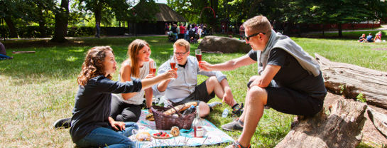 Bakken Mad Gruppe Voksen Stemning Picnic