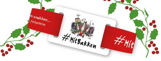 Bakken_Turbaand_Turpas_2018_Jul