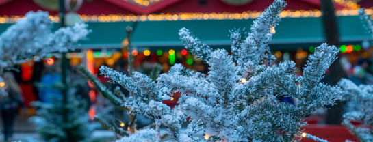 Jul Bakken Sne Juletrae